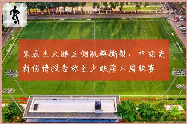 朱辰杰大腿后侧肌群撕裂，申花更新伤情报告称至少缺席六周联赛