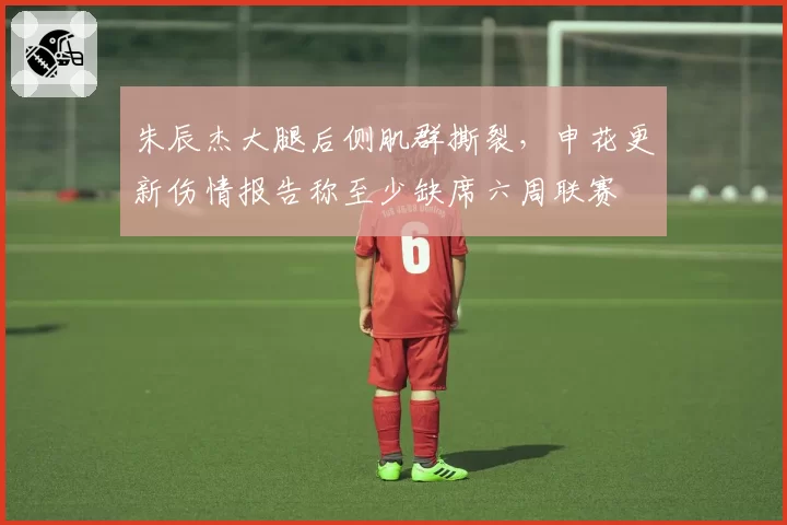 朱辰杰大腿后侧肌群撕裂，申花更新伤情报告称至少缺席六周联赛